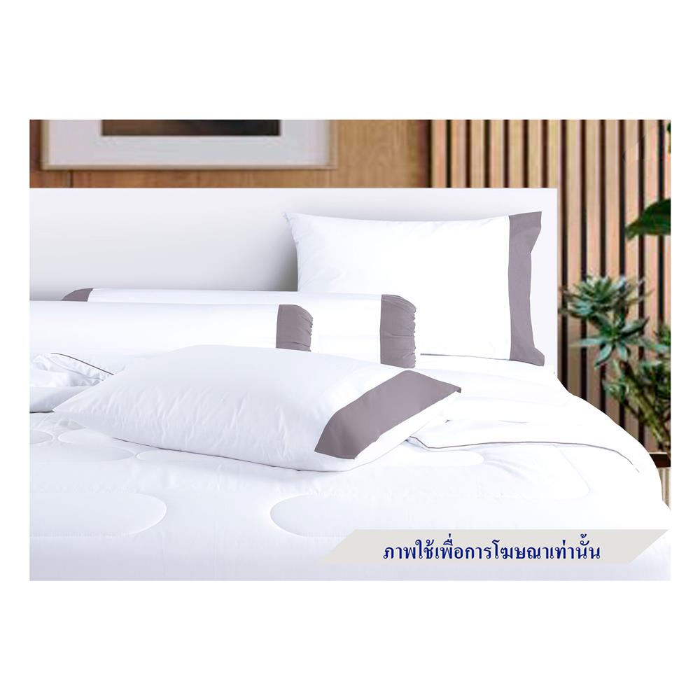 ชุดผ้าปูที่นอน 6 ฟุต 6 ชิ้น STEVENS COTTON FRESH SATEEN CL28GR
