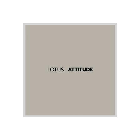 ชุดผ้าปูที่นอน 5 ฟุต 5 ชิ้น LOTUS NORDEN ND-MORGON_4