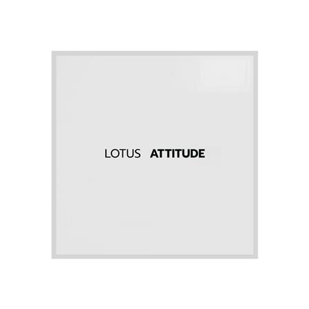 ชุดผ้าปูที่นอน 3.5 ฟุต 3 ชิ้น LOTUS NORDEN ND-VIRGIN_4