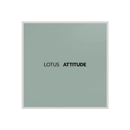 ชุดผ้าปูที่นอน 3.5 ฟุต 3 ชิ้น LOTUS NORDEN ND-GRON_4