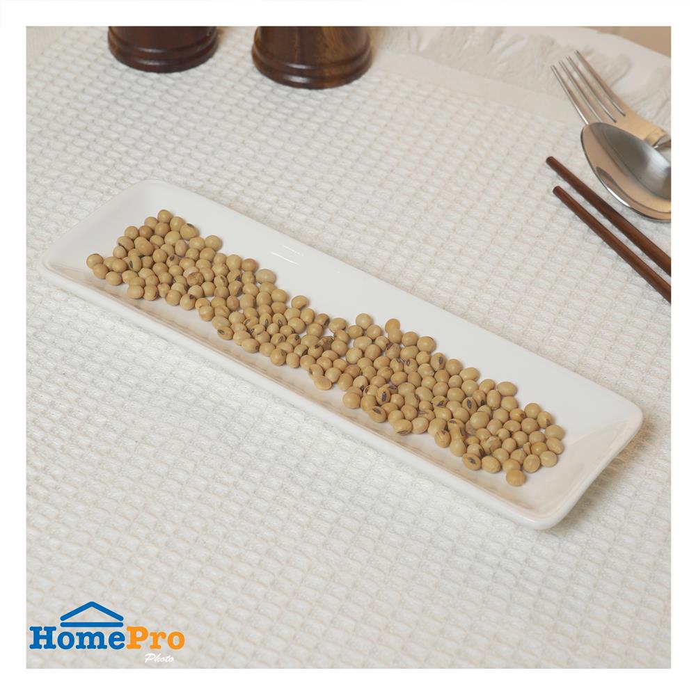 จานเหลี่ยม PORCELAIN 3x10 นิ้ว KECH SNOW PROF. ZEN