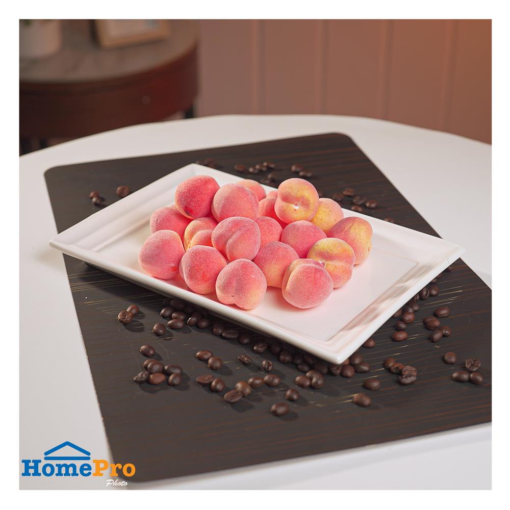 จานเหลี่ยม PORCELAIN 6x10 นิ้ว KECH SNOW PROF.