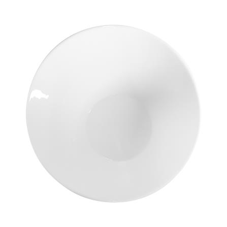 ชาม PORCELAIN 10 นิ้ว KECH SNOW PROF. SLOPE_2