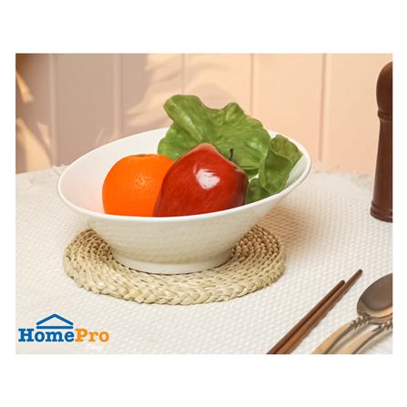 ชาม PORCELAIN 9 นิ้ว KECH SNOW PROF. SLOPE_4