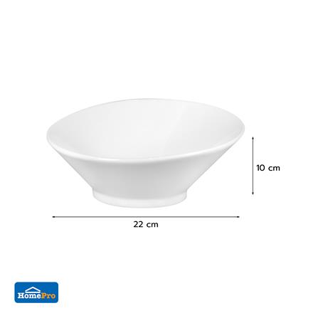 ชาม PORCELAIN 9 นิ้ว KECH SNOW PROF. SLOPE_5