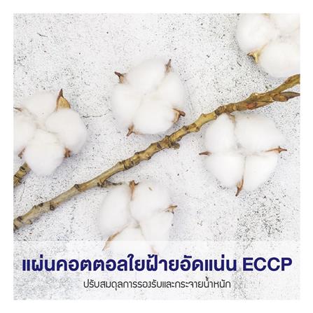 ที่นอน 5 ฟุต MIDAS GREEN BAY พร้อมหมอนหนุน 2 ชิ้น_11