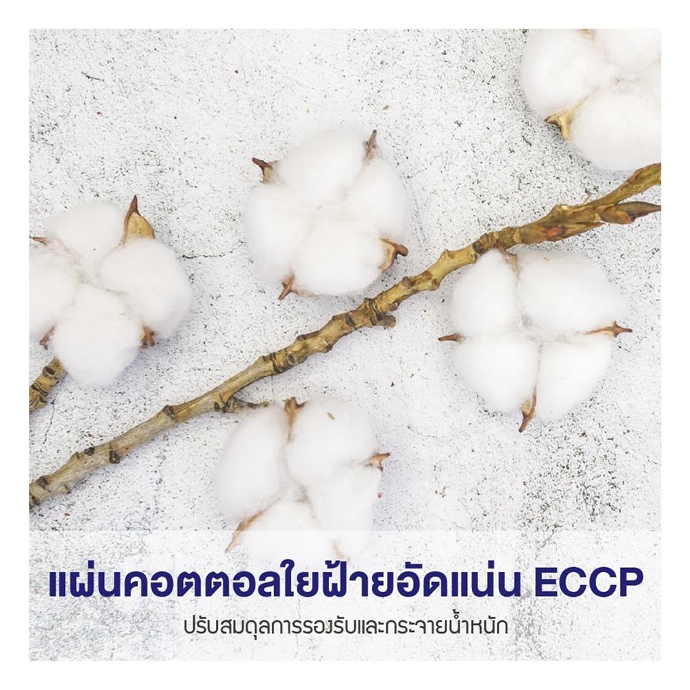 ที่นอน 3.5 ฟุต MIDAS GREEN BAY พร้อมหมอนหนุน 1 ชิ้น