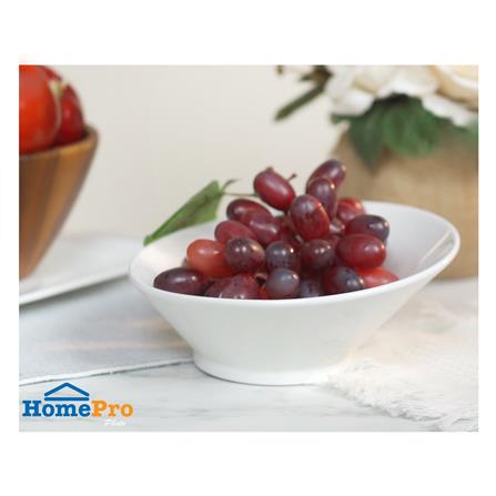 ชาม PORCELAIN 8 นิ้ว KECH SNOW PROF. SLOPE_4