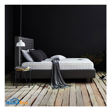 ที่นอน 5 ฟุต DUNLOPILLO ROVER พร้อมหมอนหนุน 2 ชิ้น_3