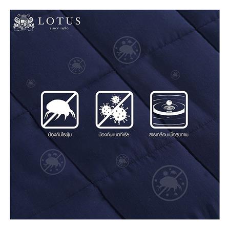 แผ่นรองนอน 5 ฟุต LOTUS FODEN สี NAVY BLUE_3