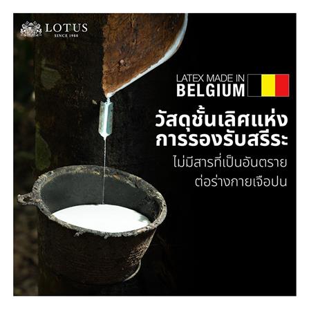 แผ่นรองนอน 6 ฟุต LOTUS GARNET_7