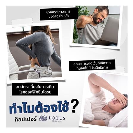 แผ่นรองนอน 3 ฟุต LOTUS FODEN สี NAVY BLUE_5