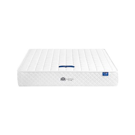 ที่นอน 5 ฟุต LOTUS MONDAVI พร้อมหมอนหนุน 2 ชิ้น_1