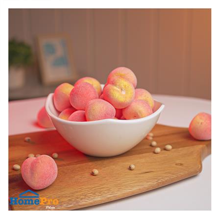 ชาม PORCELAIN 5.5 นิ้ว KECH SNOW PROF. PANNIER_3