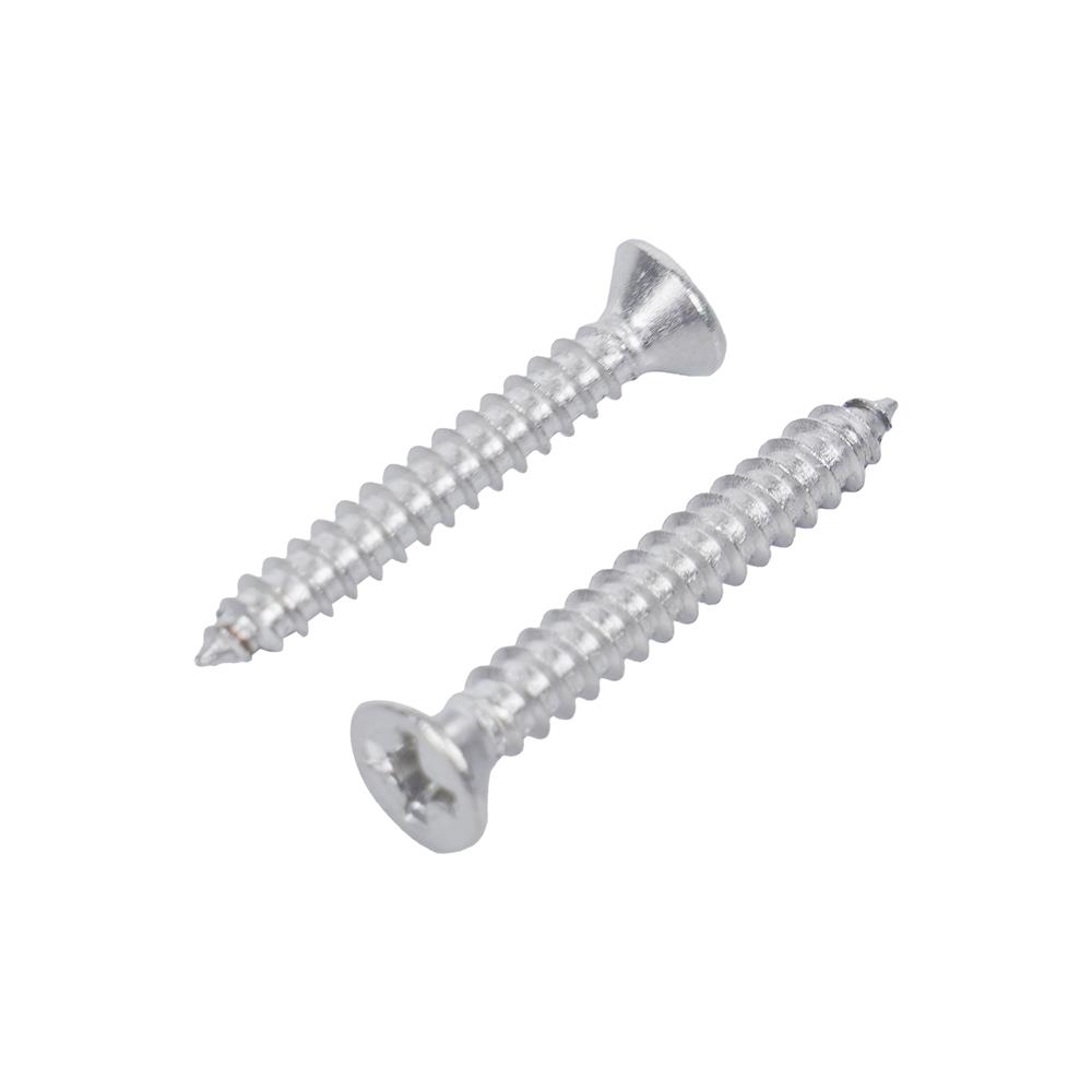 สกรูเกลียวปล่อย TF DEXZON 6x1 นิ้ว (แพ็ก 25 ชิ้น)