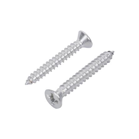 สกรูเกลียวปล่อย TF DEXZON 6x1 นิ้ว (แพ็ก 25 ชิ้น)_0