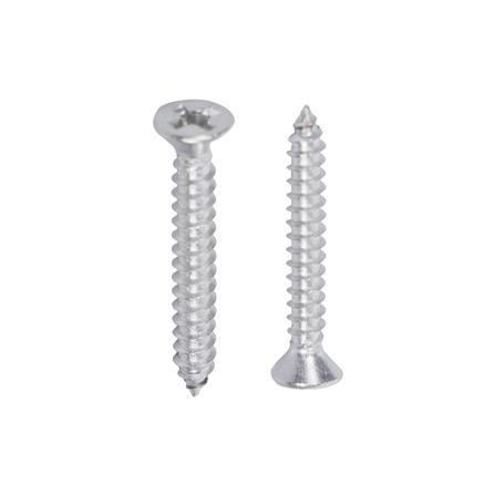 สกรูเกลียวปล่อย TF DEXZON 6x1 นิ้ว (แพ็ก 25 ชิ้น)_1