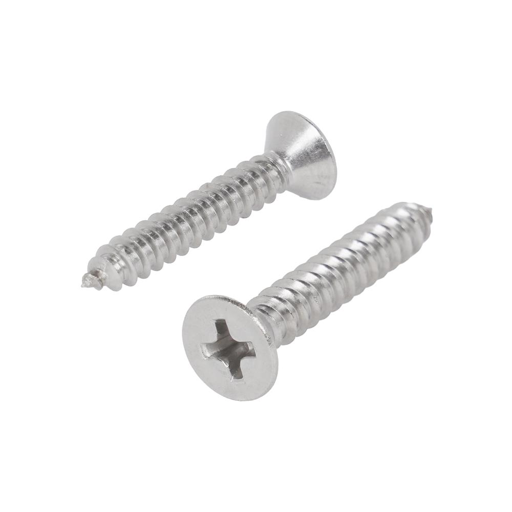 สกรูเกลียวปล่อย TF DEXZON 8x1 นิ้ว (แพ็ก 25 ชิ้น)