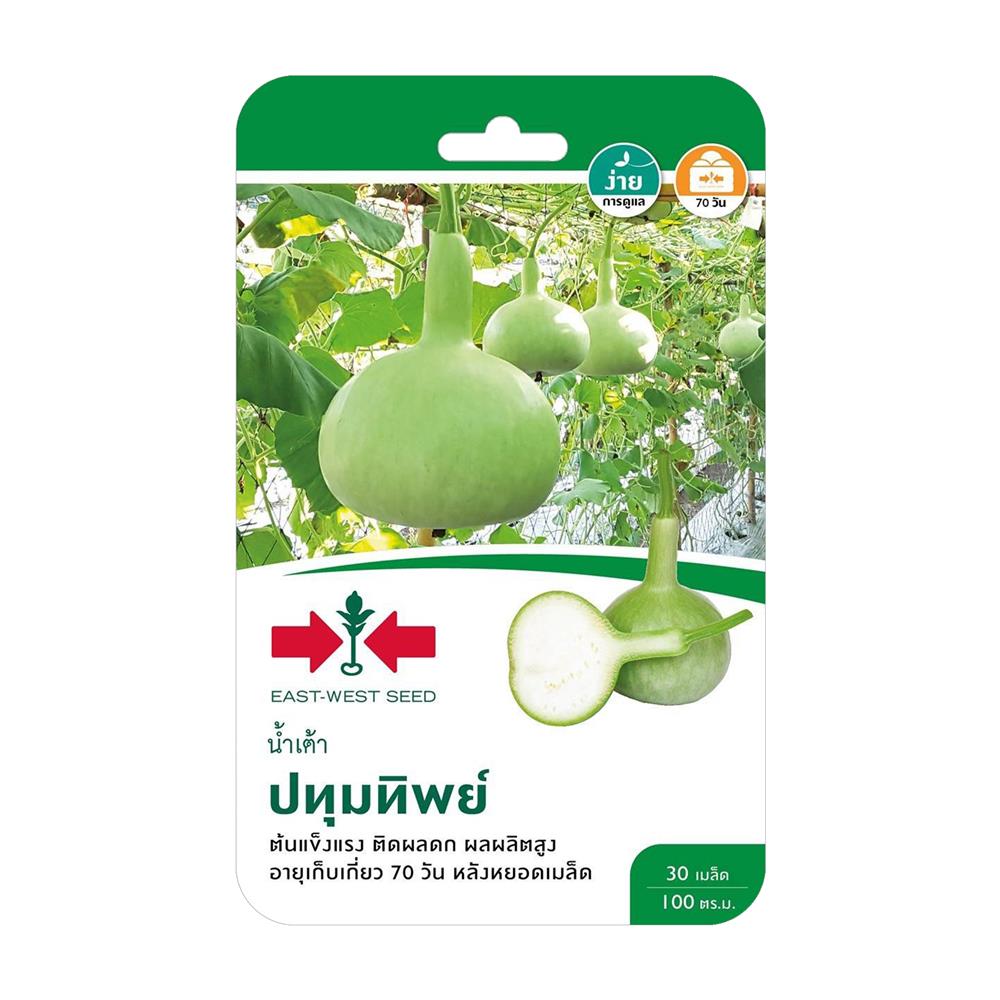 เมล็ดพันธุ์น้ำเต้า ปทุมทิพย์ ศรแดง