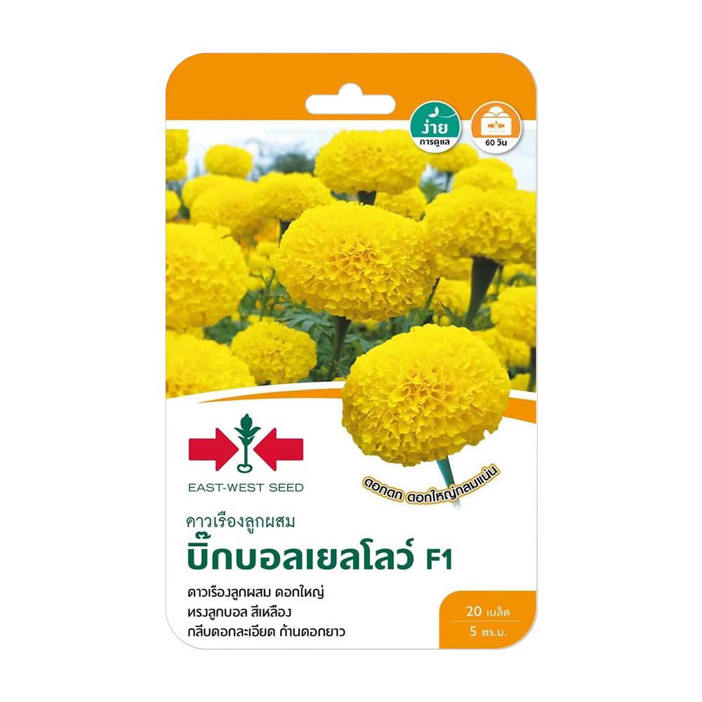 เมล็ดพันธุ์ดาวเรืองลูกผสม บิ๊กบอลเยลโลว์ F1 ศรแดง
