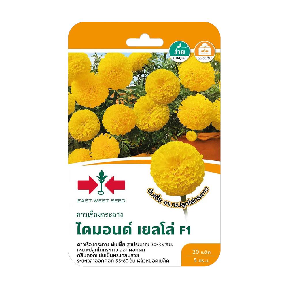 เมล็ดพันธุ์ดาวเรืองกระถาง ไดมอนด์ เยลโลว์ F1 ศรแดง