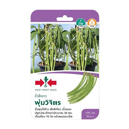 เมล็ดพันธุ์ถั่วพุ่ม พุ่มวิจิตร ศรแดง_0