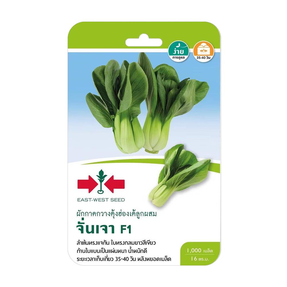 เมล็ดพันธุ์ผักกาดกวางตุ้งฮ่องเต้ลูกผสม จั่นเจา F1 ศรแดง