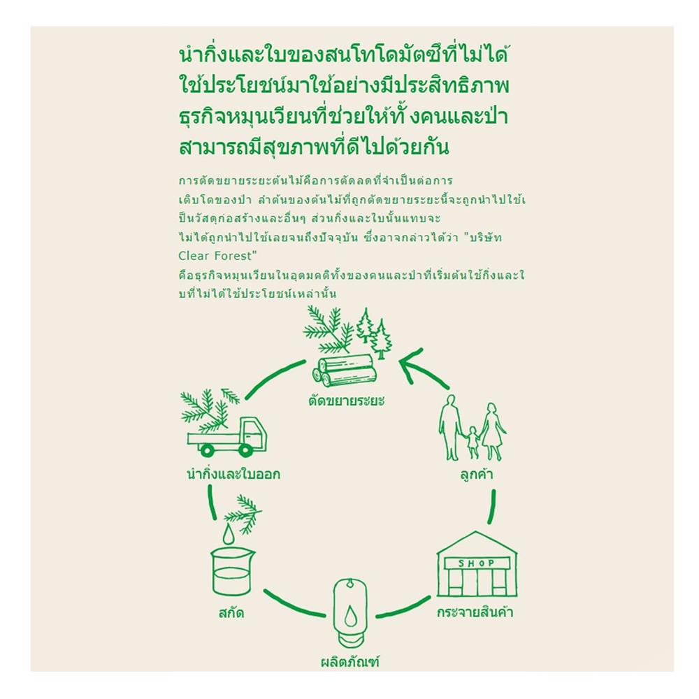 สเปรย์ปรับอากาศ SHALDAN AIR FOREST MIST 230 มล.