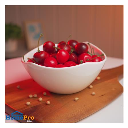 ชาม PORCELAIN 6.75 นิ้ว KECH SNOW PROF. PANNIER_3