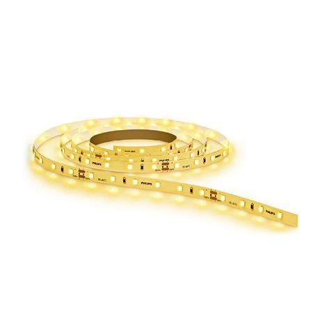 cate-ไฟเส้นและไฟกระพริบ