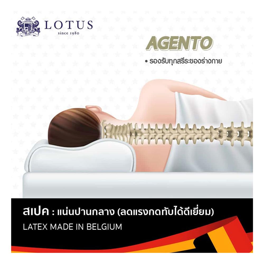 แผ่นรองนอน 6 ฟุต LOTUS AGENTO