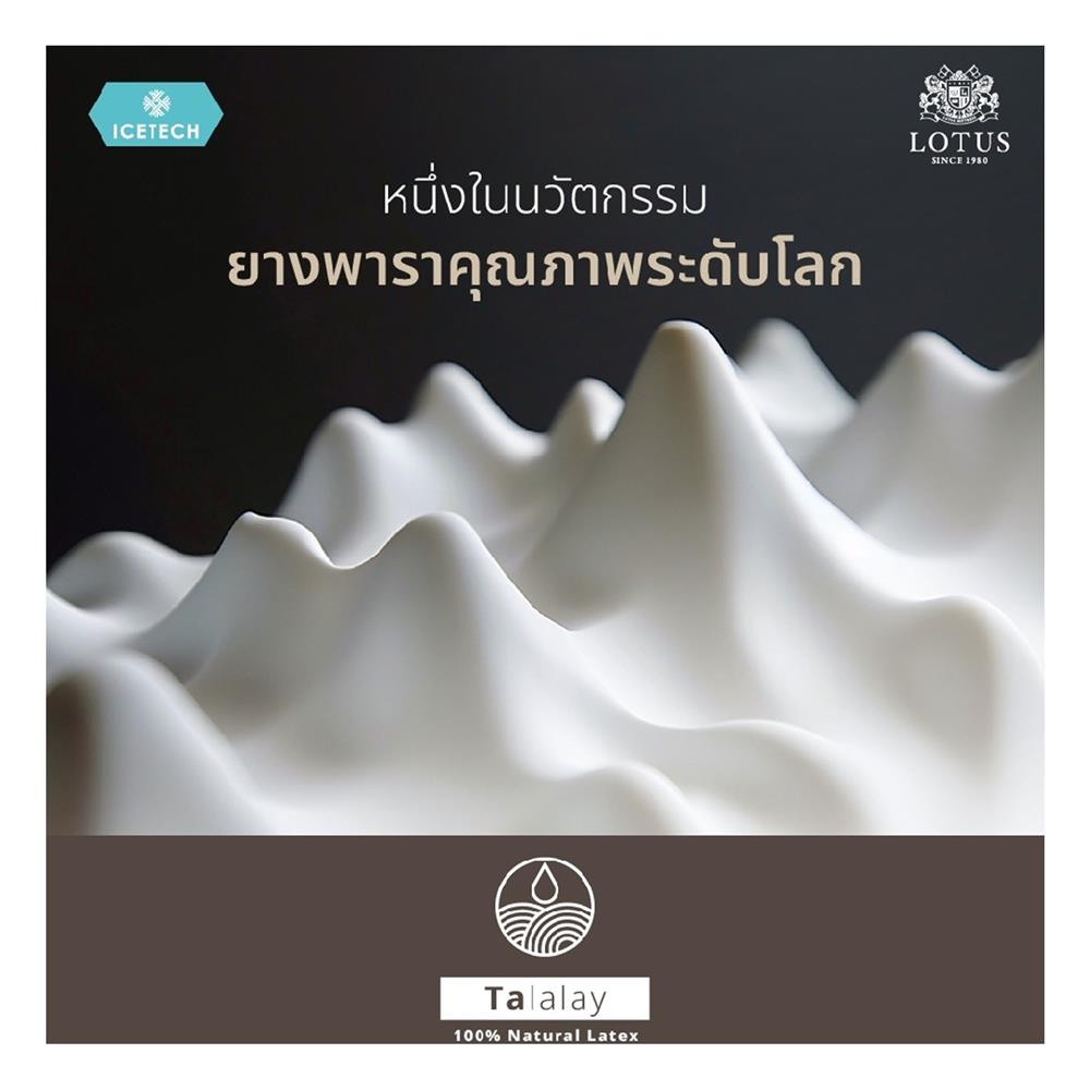 ที่นอน 3.5 ฟุต LOTUS ARCTIC ZEN พร้อมชุดเครื่องนอน 7 ชิ้น