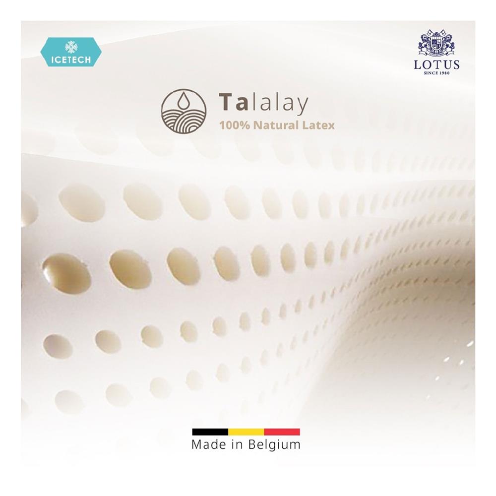 ที่นอน 3.5 ฟุต LOTUS ARCTIC ZEN พร้อมชุดเครื่องนอน 7 ชิ้น