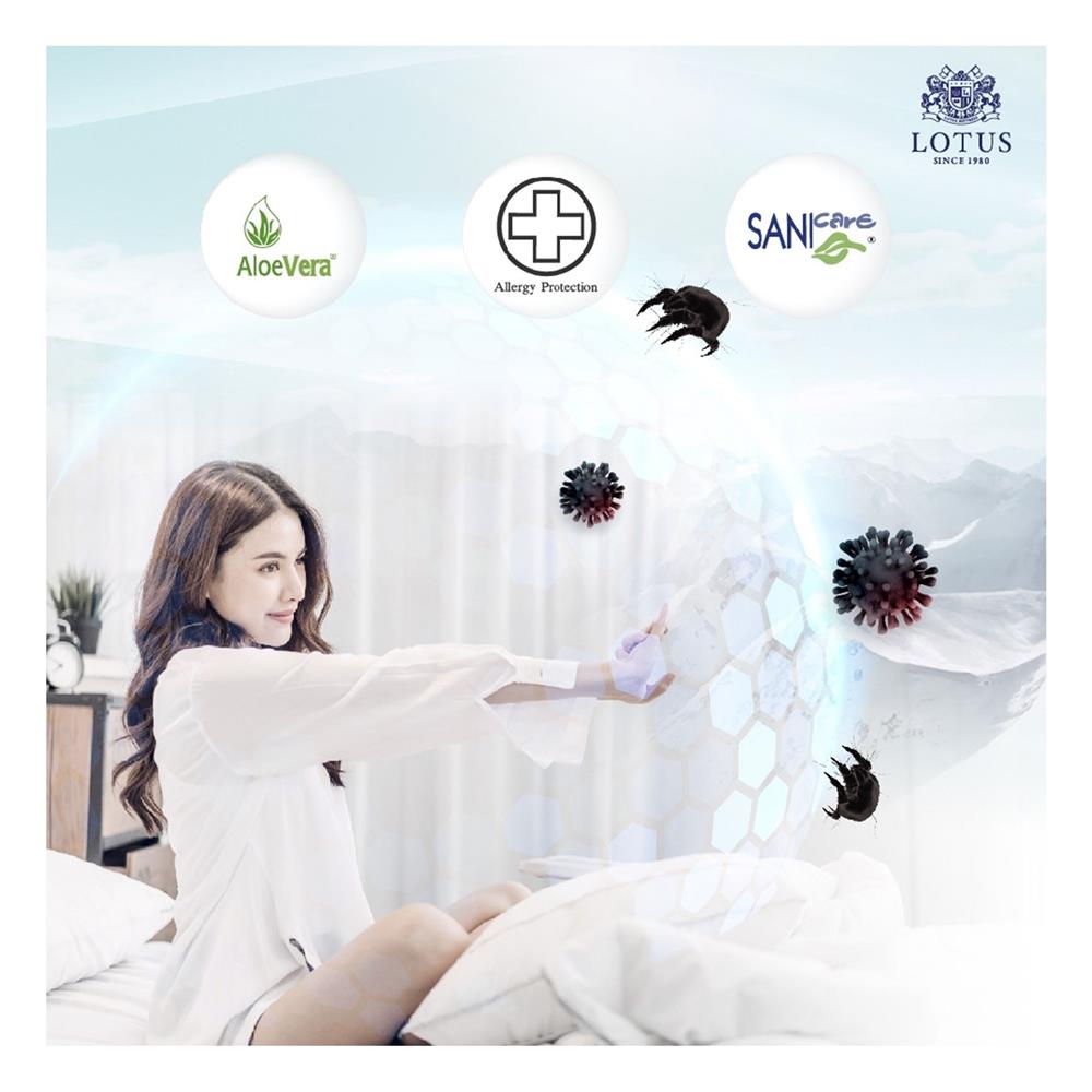ที่นอน 3.5 ฟุต LOTUS ARCTIC ZEN พร้อมชุดเครื่องนอน 7 ชิ้น