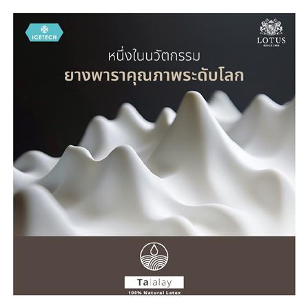 ที่นอน 3.5 ฟุต LOTUS ARCTIC ZEN พร้อมชุดเครื่องนอน 7 ชิ้น_5