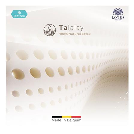 ที่นอน 3.5 ฟุต LOTUS ARCTIC ZEN พร้อมชุดเครื่องนอน 7 ชิ้น_15