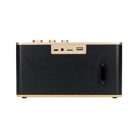 ลำโพงบลูทูธ AIWA RETRO GO MI-X96 สีดำ_4