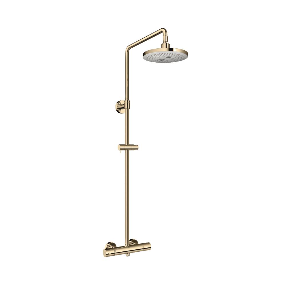 ฝักบัว RAIN SHOWER ผสม TOTO TBW01404TA-PFG สีทอง