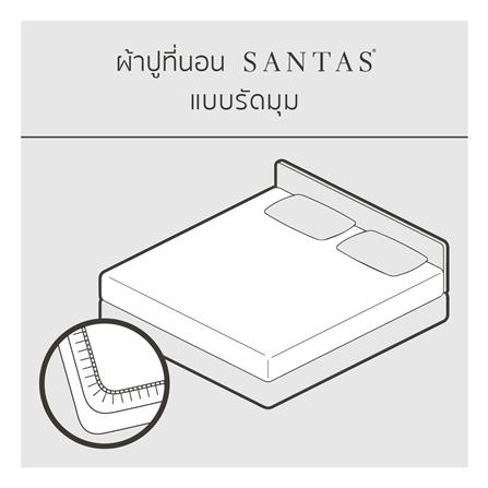 ชุดผ้าปูที่นอน 6 ฟุต 7 ชิ้น SANTAS COTTON USA CASA GR_3
