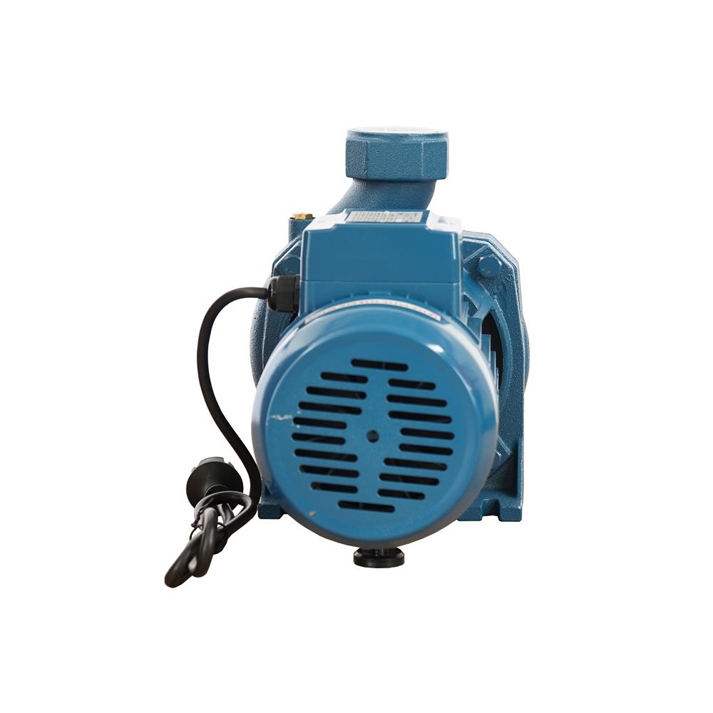 ปั๊มหอยโข่ง DAYUAN DSM60 1.5 แรงม้า