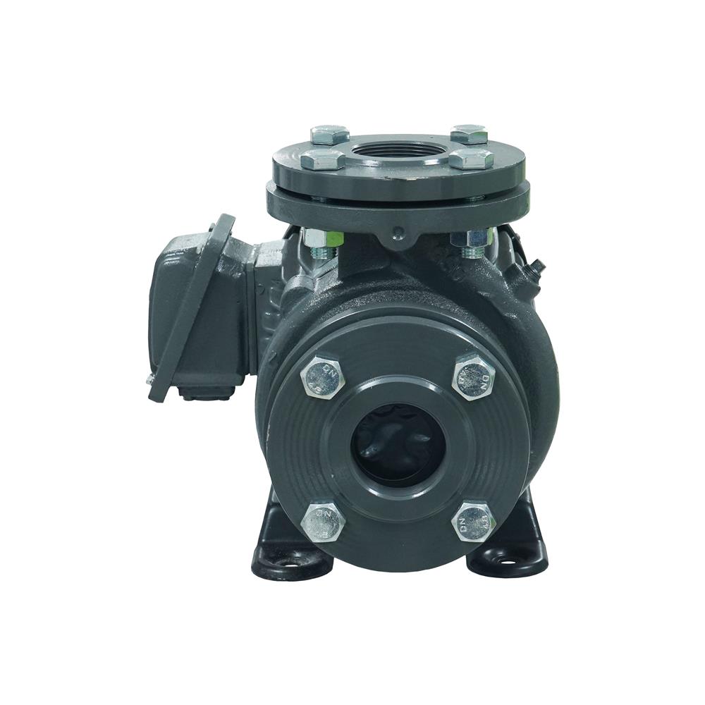ปั๊มหอยโข่ง GSD PUMP G32-50 2 แรงม้า