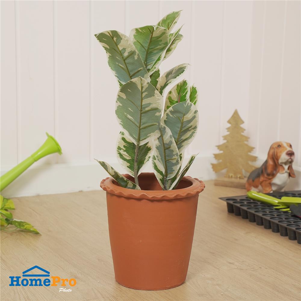 กระถางปากจีบ SPRING 10 นิ้ว