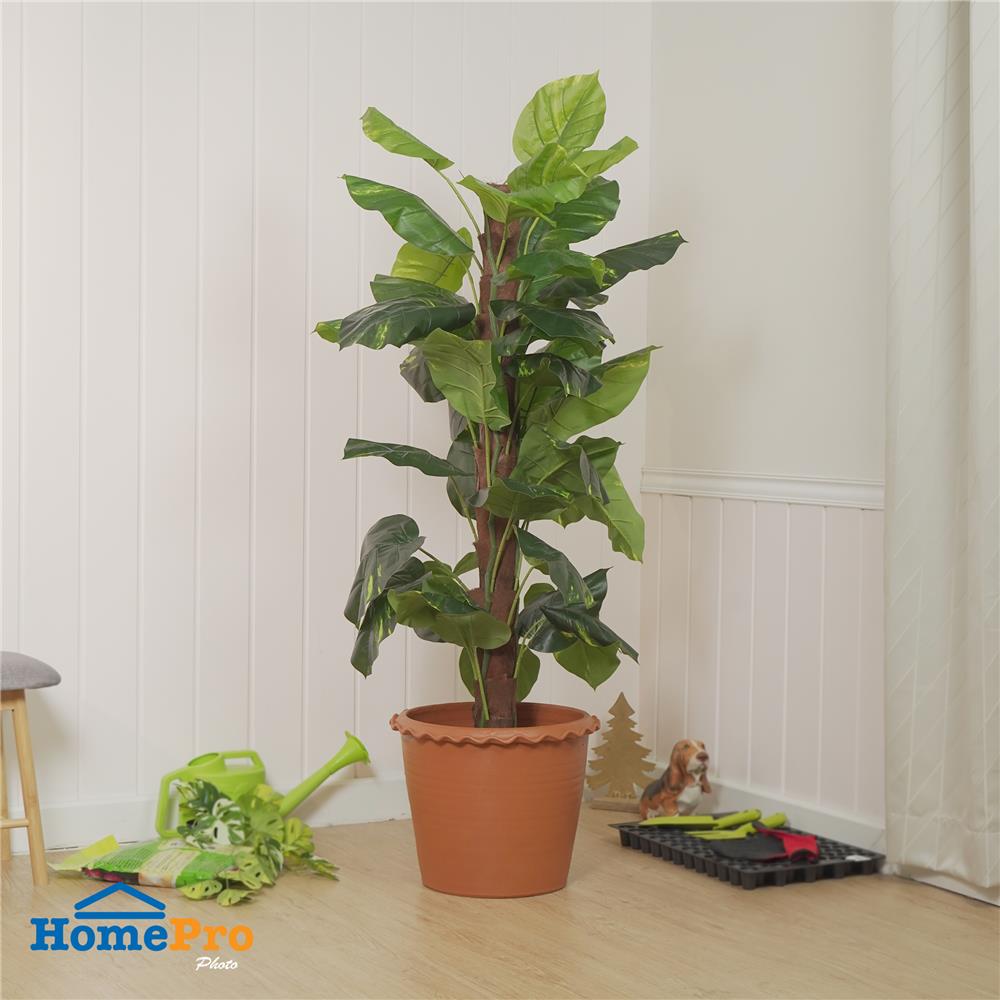 กระถางปากจีบ SPRING 16 นิ้ว