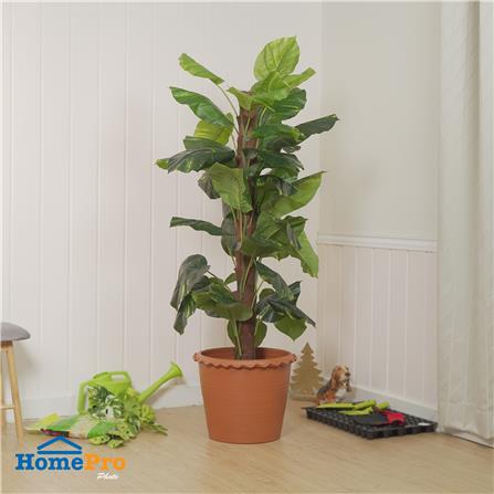 กระถางปากจีบ SPRING 16 นิ้ว_4