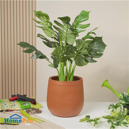 กระถางดินเผาทรงเบลล่า SPRING ไซซ์ L 12 นิ้ว_4