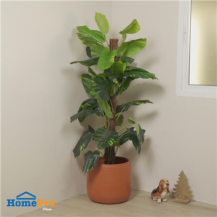 กระถางดินเผาทรงเบลล่า SPRING ไซซ์ XL 16 นิ้ว_3