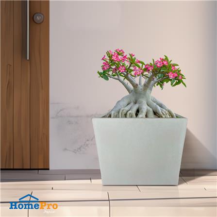 กระถางลูกเต๋า SPRING 30X30X30 ซม._3