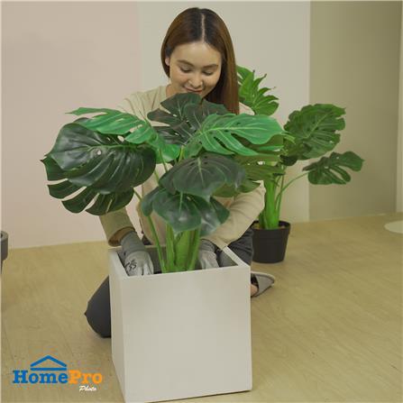 กระถางลูกเต๋า SPRING 30X30X30 ซม._4