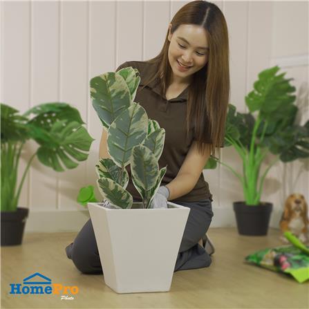 กระถางปากบาน SPRING 30X30X30 ซม._5