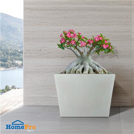 กระถางลูกเต๋า SPRING 35X35X35 ซม._3